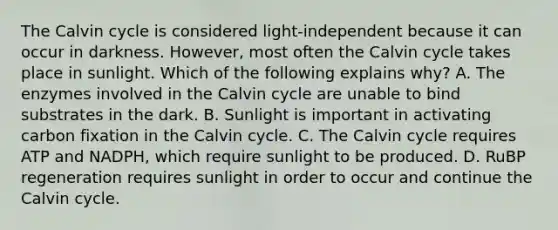 The Calvin cycle is considered light-independent because it can occur in darkness. However, most often the Calvin cycle takes place in sunlight. Which of the following explains why? A. The enzymes involved in the Calvin cycle are unable to bind substrates in the dark. B. Sunlight is important in activating carbon fixation in the Calvin cycle. C. The Calvin cycle requires ATP and NADPH, which require sunlight to be produced. D. RuBP regeneration requires sunlight in order to occur and continue the Calvin cycle.