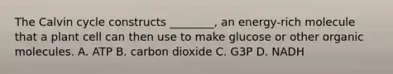 The Calvin cycle constructs ________, an energy-rich molecule that a plant cell can then use to make glucose or other organic molecules. A. ATP B. carbon dioxide C. G3P D. NADH