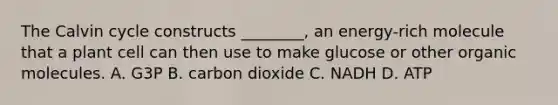 The Calvin cycle constructs ________, an energy-rich molecule that a plant cell can then use to make glucose or other <a href='https://www.questionai.com/knowledge/kjUwUacPFG-organic-molecules' class='anchor-knowledge'>organic molecules</a>. A. G3P B. carbon dioxide C. NADH D. ATP