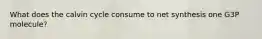 What does the calvin cycle consume to net synthesis one G3P molecule?