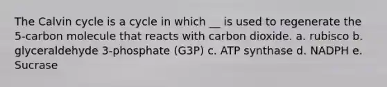 The Calvin cycle is a cycle in which __ is used to regenerate the 5-carbon molecule that reacts with carbon dioxide. a. rubisco b. glyceraldehyde 3-phosphate (G3P) c. ATP synthase d. NADPH e. Sucrase