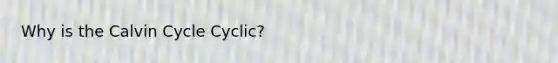 Why is the Calvin Cycle Cyclic?