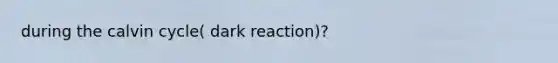 during the calvin cycle( dark reaction)?