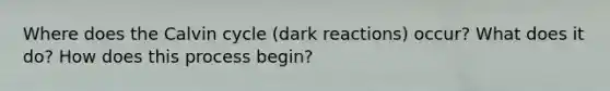 Where does the Calvin cycle (dark reactions) occur? What does it do? How does this process begin?