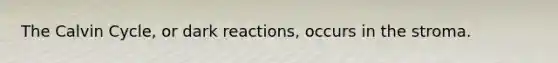 The Calvin Cycle, or dark reactions, occurs in the stroma.