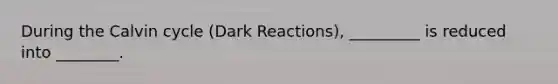 During the Calvin cycle (Dark Reactions), _________ is reduced into ________.