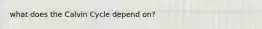what does the Calvin Cycle depend on?