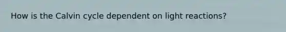 How is the Calvin cycle dependent on light reactions?