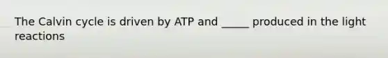 The Calvin cycle is driven by ATP and _____ produced in the light reactions