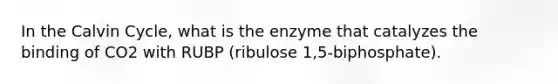 In the Calvin Cycle, what is the enzyme that catalyzes the binding of CO2 with RUBP (ribulose 1,5-biphosphate).