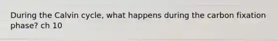 During the Calvin cycle, what happens during the carbon fixation phase? ch 10