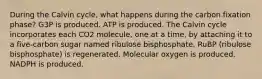 During the Calvin cycle, what happens during the carbon fixation phase? G3P is produced. ATP is produced. The Calvin cycle incorporates each CO2 molecule, one at a time, by attaching it to a five-carbon sugar named ribulose bisphosphate. RuBP (ribulose bisphosphate) is regenerated. Molecular oxygen is produced. NADPH is produced.