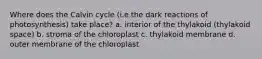 Where does the Calvin cycle (i.e.the dark reactions of photosynthesis) take place? a. interior of the thylakoid (thylakoid space) b. stroma of the chloroplast c. thylakoid membrane d. outer membrane of the chloroplast