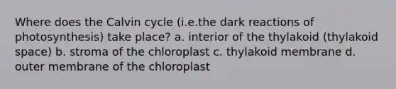 Where does the Calvin cycle (i.e.the dark reactions of photosynthesis) take place? a. interior of the thylakoid (thylakoid space) b. stroma of the chloroplast c. thylakoid membrane d. outer membrane of the chloroplast