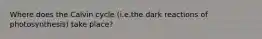 Where does the Calvin cycle (i.e.the dark reactions of photosynthesis) take place?