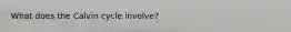 What does the Calvin cycle involve?