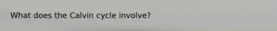 What does the Calvin cycle involve?