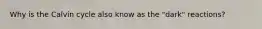 Why is the Calvin cycle also know as the "dark" reactions?