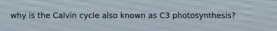 why is the Calvin cycle also known as C3 photosynthesis?