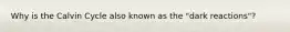 Why is the Calvin Cycle also known as the "dark reactions"?