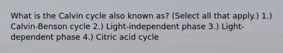 What is the Calvin cycle also known as? (Select all that apply.) 1.) Calvin-Benson cycle 2.) Light-independent phase 3.) Light-dependent phase 4.) Citric acid cycle