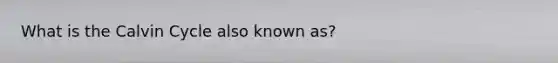 What is the Calvin Cycle also known as?