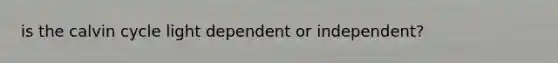 is the calvin cycle light dependent or independent?