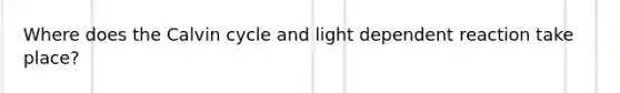 Where does the Calvin cycle and light dependent reaction take place?