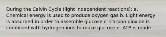 During the Calvin Cycle (light independent reactions): a. Chemical energy is used to produce oxygen gas b. Light energy is absorbed in order to assemble glucose c. Carbon dioxide is combined with hydrogen ions to make glucose d. ATP is made