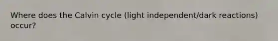 Where does the Calvin cycle (light independent/dark reactions) occur?