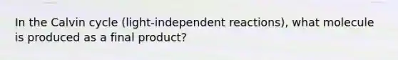 In the Calvin cycle (light-independent reactions), what molecule is produced as a final product?