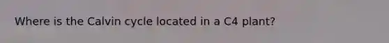 Where is the Calvin cycle located in a C4 plant?