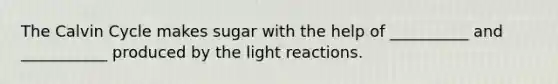 The Calvin Cycle makes sugar with the help of __________ and ___________ produced by the light reactions.