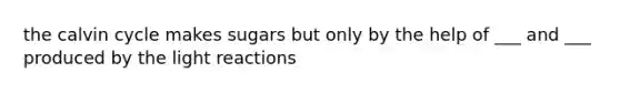 the calvin cycle makes sugars but only by the help of ___ and ___ produced by the light reactions