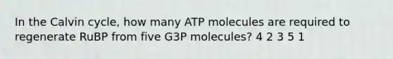 In the Calvin cycle, how many ATP molecules are required to regenerate RuBP from five G3P molecules? 4 2 3 5 1