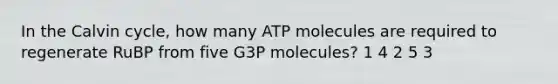 In the Calvin cycle, how many ATP molecules are required to regenerate RuBP from five G3P molecules? 1 4 2 5 3