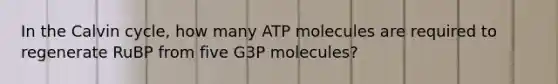 In the Calvin cycle, how many ATP molecules are required to regenerate RuBP from five G3P molecules?