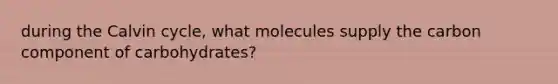 during the Calvin cycle, what molecules supply the carbon component of carbohydrates?