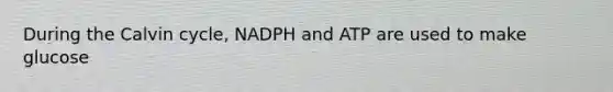 During the Calvin cycle, NADPH and ATP are used to make glucose