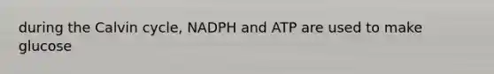 during the Calvin cycle, NADPH and ATP are used to make glucose