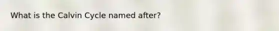 What is the Calvin Cycle named after?