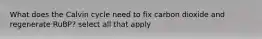 What does the Calvin cycle need to fix carbon dioxide and regenerate RuBP? select all that apply