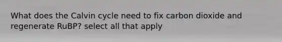 What does the Calvin cycle need to fix carbon dioxide and regenerate RuBP? select all that apply