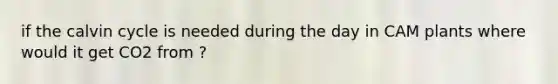 if the calvin cycle is needed during the day in CAM plants where would it get CO2 from ?