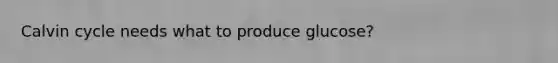 Calvin cycle needs what to produce glucose?