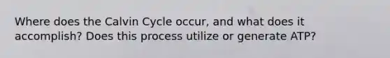Where does the Calvin Cycle occur, and what does it accomplish? Does this process utilize or generate ATP?