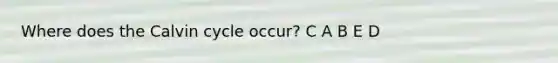 Where does the Calvin cycle occur? C A B E D