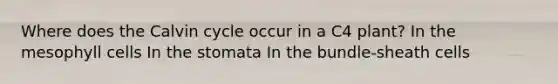 Where does the Calvin cycle occur in a C4 plant? In the mesophyll cells In the stomata In the bundle-sheath cells
