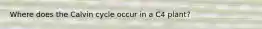 Where does the Calvin cycle occur in a C4 plant?