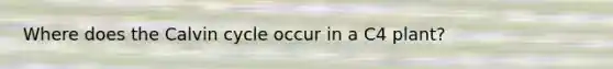 Where does the Calvin cycle occur in a C4 plant?
